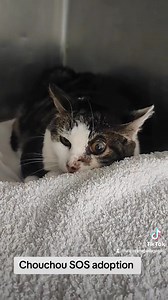 137K views · 3.2K reactions | ‍⬛ C'est un immense SOS ‍⬛ Que nous...