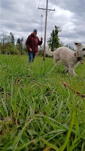a little under handed shepards sling