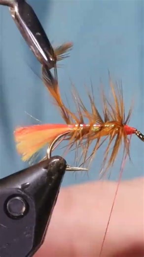 Muirhead Bumble #short #flyfishing #flytying #fishing #shorts