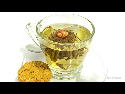 Timelapse Rotting Tea Blossom