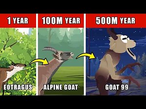 Goat 99 Origin Evolution: How Goat 99 Could Have Evolved