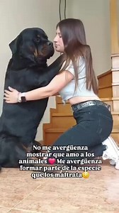 The Most Loyal Dog on Earth!! Meet the Rottweiler 🖤🐶 | Rottweiler Life