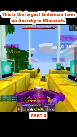 The Largest Enderman Farm in Minecraft Anarchy