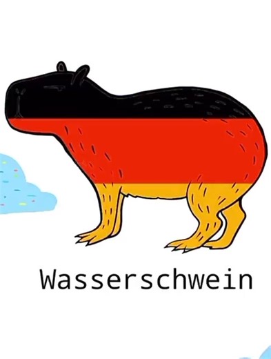 capybara in different languages #capybara #meme #memes #memez