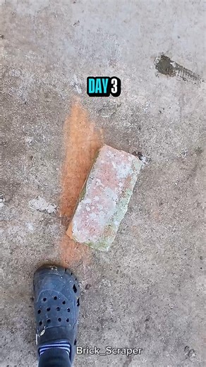 Day 3 of Scraping this Brick Until it completely Disappears #viral #shorts #brick #challenge #asmr