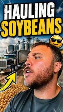 75 Hard Weight Loss Update | Hauling Soybeans, Farm Heat & Market Talk