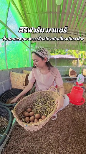 เลี้ยงไก่ไข่: เริ่มต้นศึกษา ศึกษาเทคนิค