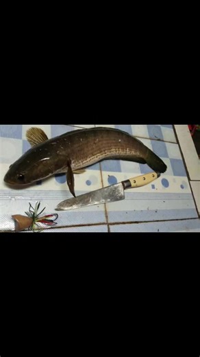 ANDcasting on TikTok