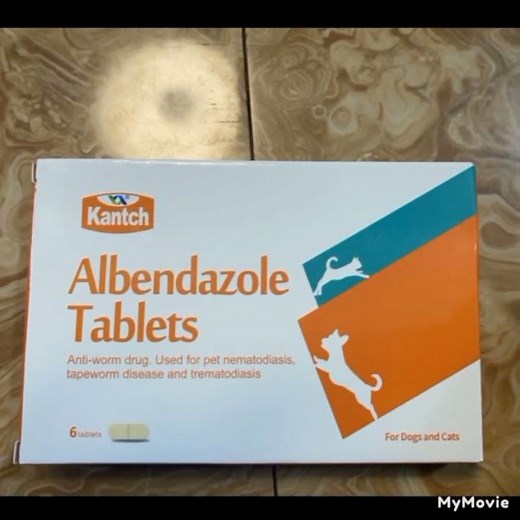 Albendazole Tablets (dewormer for dogs and cats)