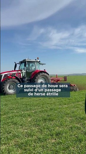 les différents outils utilisés pour maîtriser le désherbage en agriculture biologique.