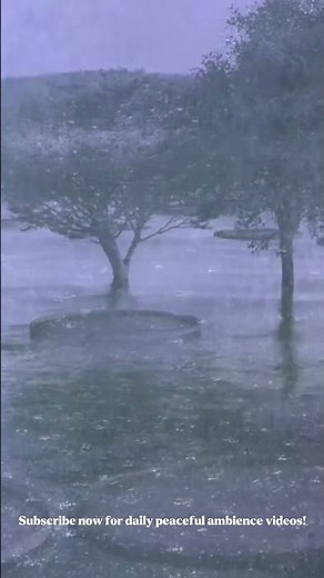 Heavy Rain & Wind Sounds 🌧️ | Relaxing Sleep Ambience