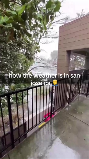 Weather in San Jose: Navigating Rainy Days