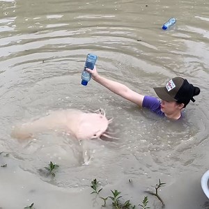 Epic fish trapping skills with many of seafood catch huge fish | Survival with Emma