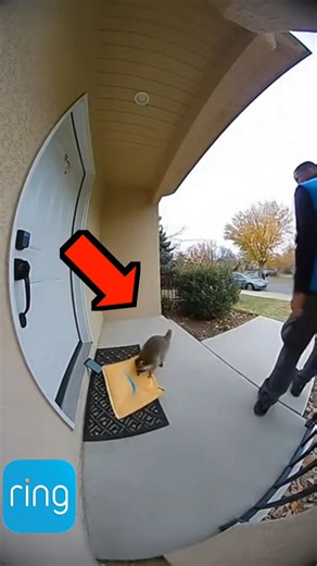 Priceless 😂 | Getti