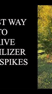 Easiest way to drive tree spikes (and fastest). Jobes or MiracleGro style tree fertilizer spikes