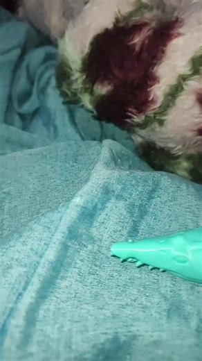 Os vídeos de dani microraptor especial 🦖🦕 (@dani.rex04) com เสียงต้นฉบับ - tvgame