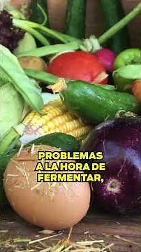 What is the FODMAP diet and why is it so difficult to follow? 🤔 - Ana Gloria Cantos