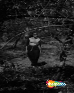 Song Name: Jab Pyar Kisi Se Hota Hai…Jiya O Jiya O Jiya (Female) Movie: Jab Pyar Kisi Se Hota Hai( 1961 ) Singer: Lata Mangeshkar, Lyrics: Hasrat Jaipuri Music: Shankar Jaikishan #ShemarooFilmiGaane #BollywoodRetroSongs #GoldenCollection #RetroVibes #OldisGold #EvegreenSongs #HindiGaane #KishoreKumarSongs #Bestof #EvegreenMelody #Legends #Bollywood #VideoSongs #HindiFilms #Nostalgic #BollywoodHits | Filmi Gaane