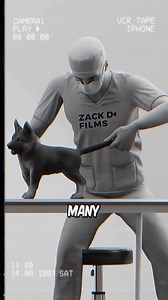 Amazing Facts About Animal #facts #animalsfacts #wildlife | FactZoo