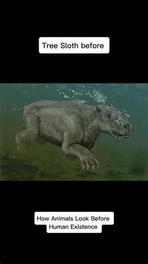 How Swimming Sloths & Walrus-Whales Looked Before Humans (Then vs Now)