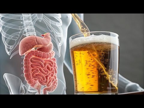 What Alcohol Really Does to Your Stomach | Stomach AI Art