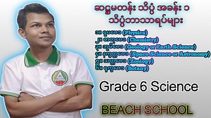 Grade 6 Science subjects Definitions Of Physics, Chemistry, Geology, Astronomy, Zoology And Botany | BEACH School
