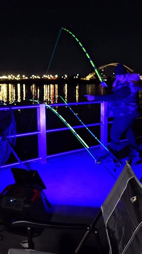 366K views · 12K reactions | Catching rods and eel | Haz Life Fishing | Facebook