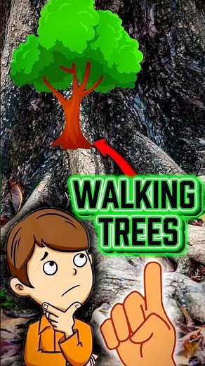 Chalne wala ped 🤔