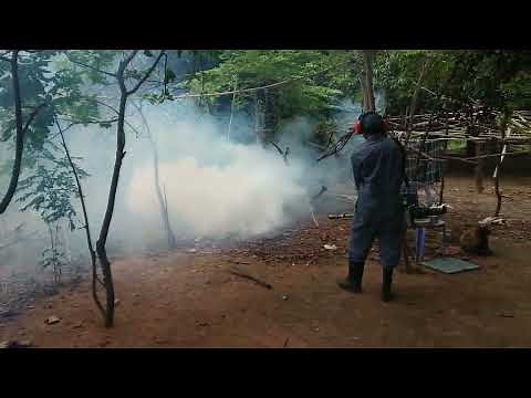 These are the process of doing fogging to kill mosquitoes (Full Video)