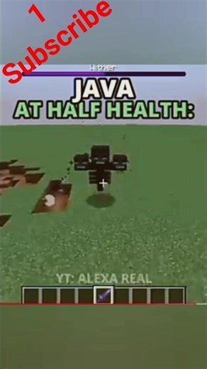 bedrock wither V's Java wither #minecraftjava 😱 #video #gaming #amazing #minecraft