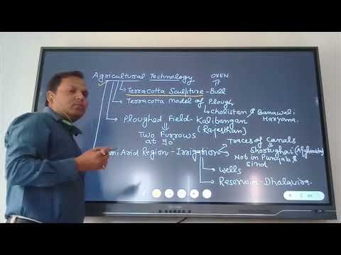History Class 12 Chapter 1 : Bricks, Beads & Bones ( Topic 2)