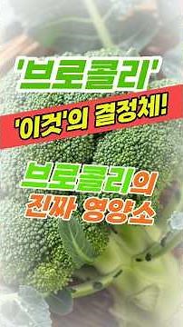 #브로콜리 #새싹브로콜리 #설포라판 #항암음식 #슈퍼푸드 #브로콜리효능 #건강식단 #면역력