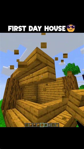 Minecraft First Day House😎