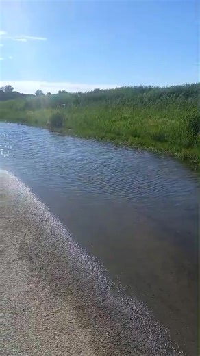 The flooding of Fiskaal street by Toronto pan. Will Matjhabeng Local Municipality ever find a solution to this problem that has forced some local residents to live in horrendous conditions for many years. | Vista Newspaper