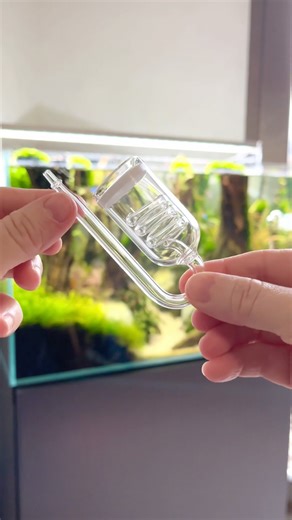Spiral Glass Co2 Diffuser #aquascaping #aquascape #aquarium #plantedtank #plantedaquarium #fishtank