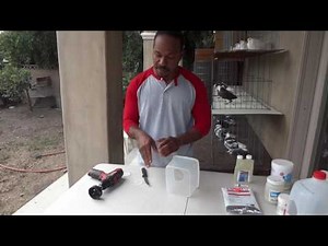 Roller Pigeon Evolution Q&A Video with Sam Smitty