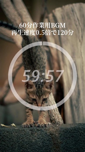 作業用、勉強、読書、睡眠用に60分のBGM動画を流してます✨ いいね＆フォローで出やすくなります♡ #ポイ活 #作業用BGM #放置動画 #睡眠導入 #勉強用BGM