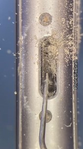 42K views · 164 reactions | Super #dirty phone gets #cleaned under the #microscope at #phonefixcraft | Phone Fix Craft | Facebook