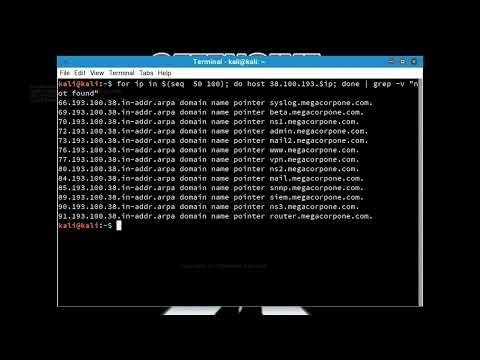 Offensive Security Video Reverse Lookup Brute Force 126