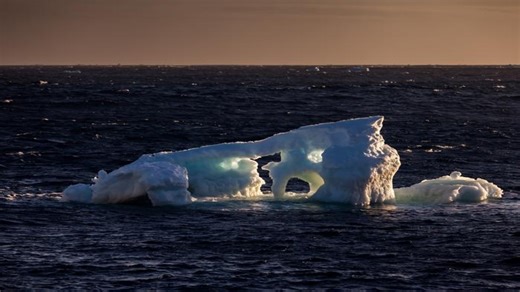 Melting ice protects Antarctica ocean against carbon disaster: Study