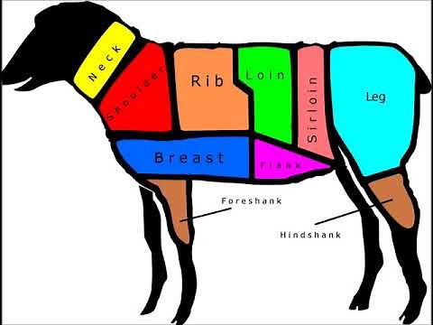 Lamb Meat Cuts Chart