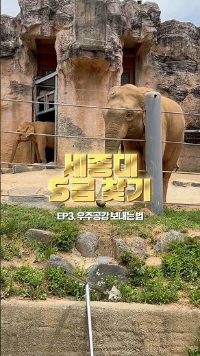 세종대 S급 찾기 EP.3 우주공강 보내는 법 [세종대학교/Sejong University]