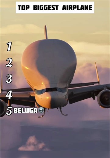 Discover the Biggest Airplane in the World