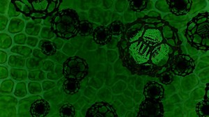 Cellular, Cell, Atom, Particle