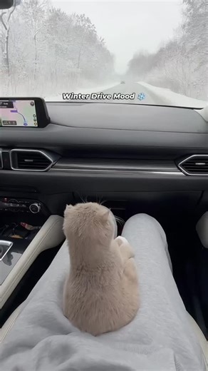 𝐋𝐔𝐗𝐔𝐑𝐘 𝐀𝐔𝐑𝐀 on Instagram: "Some of the most dangerous snowing regions in the world include Siberia, Alaska, and parts of Northern Canada, where snowfall combines with extreme sub-zero temperatures. In these areas, whiteouts, frozen roads, and limited daylight make travel life-threatening, even for experienced locals. The Himalayan region is also extremely dangerous during heavy snowfall, especially in high-altitude passes of India, Nepal, and Tibet. Avalanches, sudden blizzards, and ox