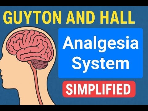 Analgesia System (Pain Suppression) | Explained from Guyton & Hall | Simplified Physiology