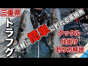 【保存版】三重トラフグ釣りの全て！タックルから仕掛けまで徹底解説
