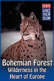 Bohemian Forest - Wilderness in the Heart of Europe