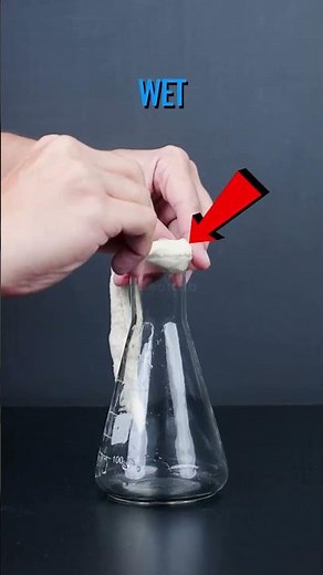 Air Pressure Egg - Science Experiment