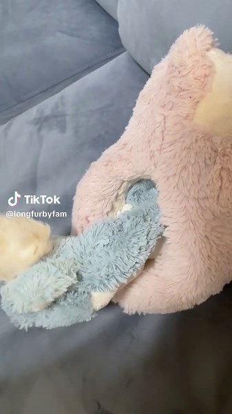 Discovering Nostalgic Furbies: A Funny Journey